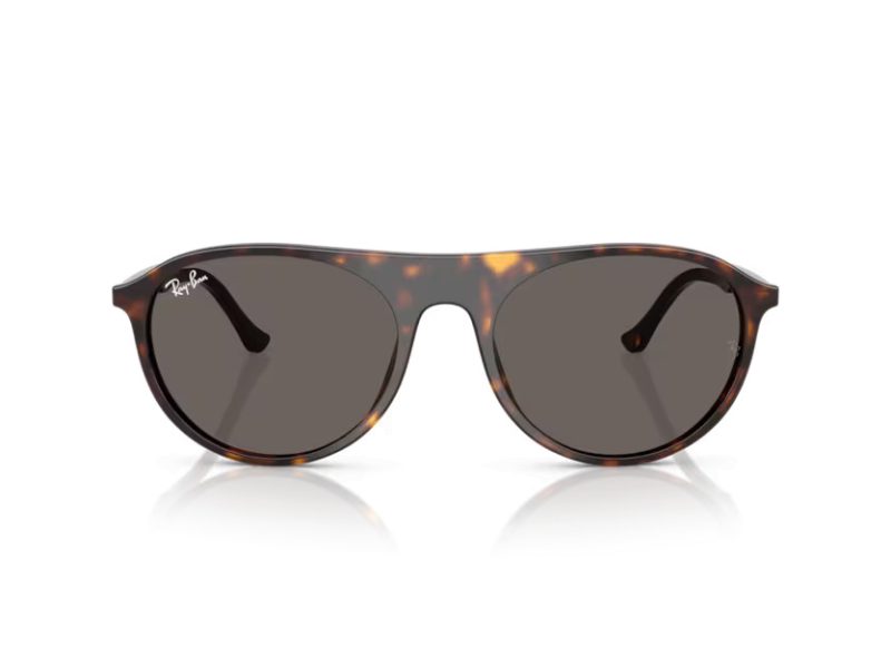 Ray-Ban Sunčane Naočale RB 2215 902/B1