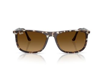 Ray-Ban Sunčane Naočale RB 2216 143185