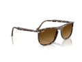 Ray-Ban Sunčane Naočale RB 2216 143185