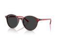 Ray-Ban Bernard Sunčane Naočale RB 2230 141948