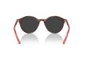 Ray-Ban Bernard Sunčane Naočale RB 2230 141948