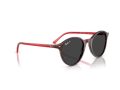 Ray-Ban Bernard Sunčane Naočale RB 2230 141948