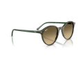 Ray-Ban Bernard Sunčane Naočale RB 2230 14210A