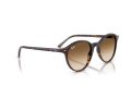 Ray-Ban Bernard Sunčane Naočale RB 2230 902/51