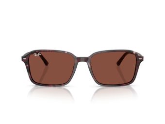 Ray-Ban Raimond Sunčane Naočale RB 2231 1416C5