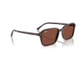 Ray-Ban Raimond Sunčane Naočale RB 2231 1416C5