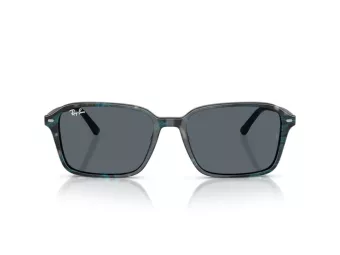 Ray-Ban Raimond Sunčane Naočale RB 2231 1417R5