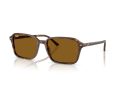 Ray-Ban Raimond Sunčane Naočale RB 2231 141833