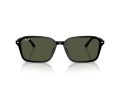 Ray-Ban Raimond Sunčane Naočale RB 2231 901/31