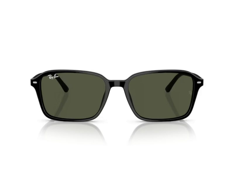 Ray-Ban Raimond Sunčane Naočale RB 2231 901/31