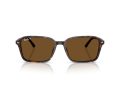 Ray-Ban Raimond Sunčane Naočale RB 2231 902/57