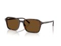 Ray-Ban Raimond Sunčane Naočale RB 2231 902/57