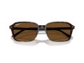Ray-Ban Raimond Sunčane Naočale RB 2231 902/57