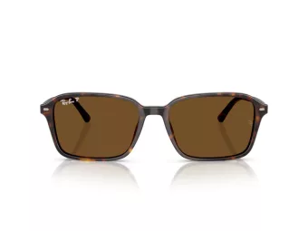 Ray-Ban Raimond Sunčane Naočale RB 2231 902/57