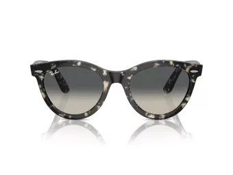 Ray-Ban Wayfarer Way Sunčane Naočale RB 2241 133371