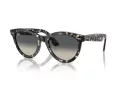 Ray-Ban Wayfarer Way Sunčane Naočale RB 2241 133371