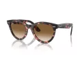 Ray-Ban Wayfarer Way Sunčane Naočale RB 2241 133451
