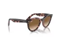 Ray-Ban Wayfarer Way Sunčane Naočale RB 2241 133451