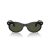 Ray-Ban Wayfarer Oval Sunčane Naočale RB 2242 901/31