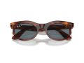 Ray-Ban Wayfarer Oval Sunčane Naočale RB 2242 954/3R