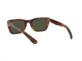 Ray-Ban Caribbean Sunčane Naočale RB 2248 954/31