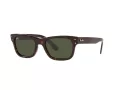 Ray-Ban Mr Burbank Sunčane Naočale RB 2283 902/31