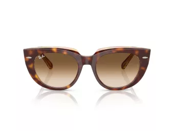 Ray-Ban Doreen Sunčane Naočale RB 2286 141451