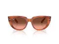 Ray-Ban Doreen Sunčane Naočale RB 2286 1415A5