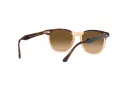 Ray-Ban Hawkeye Sunčane Naočale RB 2298 1292M2