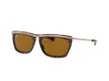 Ray-Ban Olympian Ii Sunčane Naočale RB 2419 1309/33