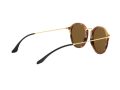 Ray-Ban Round Sunčane Naočale RB 2447 1160