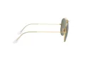 Ray-Ban Shooter Sunčane Naočale 3138 001