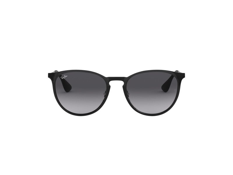 Ray-Ban Erika Metal Sunčane Naočale RB 3539 002/8G