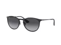 Ray-Ban Erika Metal Sunčane Naočale 3539 002/8G