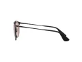 Ray-Ban Erika Metal Sunčane Naočale 3539 002/Q4