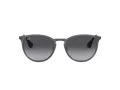Ray-Ban Erika Metal Sunčane Naočale 3539 192/8G
