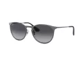 Ray-Ban Erika Metal Sunčane Naočale 3539 192/8G