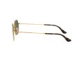 Ray-Ban Octagonal Sunčane Naočale RB 3556N 001/30