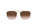 Ray-Ban Sunčane Naočale 3588 905513
