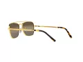 Ray-Ban New Caravan Sunčane Naočale RB 3636 9196/G5