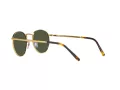 Ray-Ban New Round Sunčane Naočale RB 3637 919631