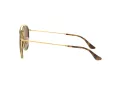 Ray-Ban Sunčane Naočale 3647N 001/57