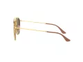 Ray-Ban Sunčane Naočale 3647N 001/7O