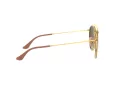 Ray-Ban Sunčane Naočale 3647N 001/7O