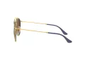 Ray-Ban Sunčane Naočale RB 3647N 001/9U