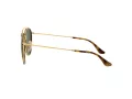 Ray-Ban Sunčane Naočale 3647N 001