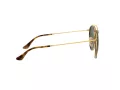 Ray-Ban Sunčane Naočale 3647N 001
