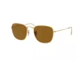 Ray-Ban Frank Sunčane Naočale RB 3857 919633