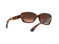 Ray-Ban Jackie Ohh Sunčane Naočale RB 4101 642/A5