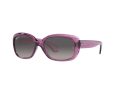 Ray-Ban Jackie Ohh Sunčane Naočale RB 4101 6591/M3